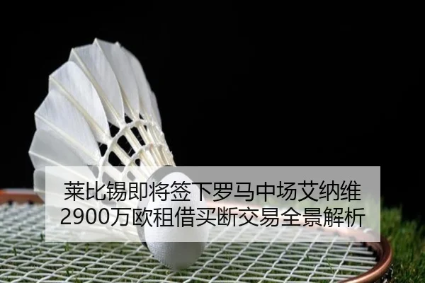 莱比锡即将签下罗马中场艾纳维 2900万欧租借买断交易全景解析（MogenSports）